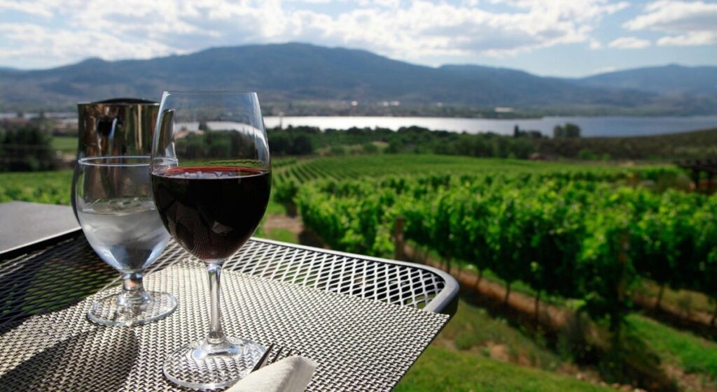 wine