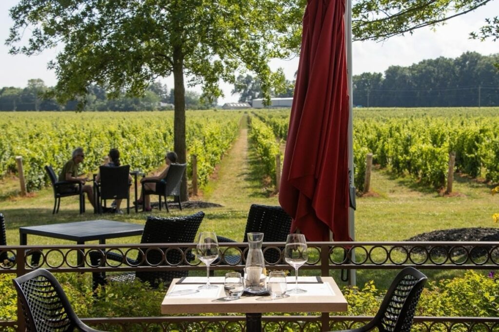 winery 