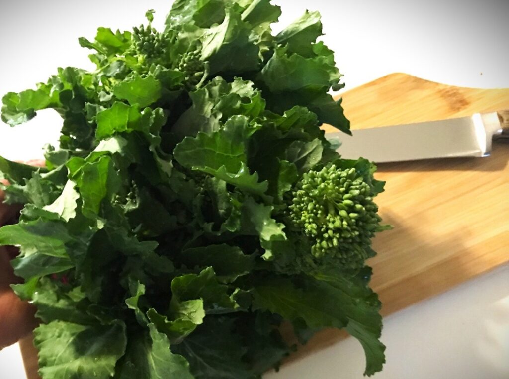 rapini