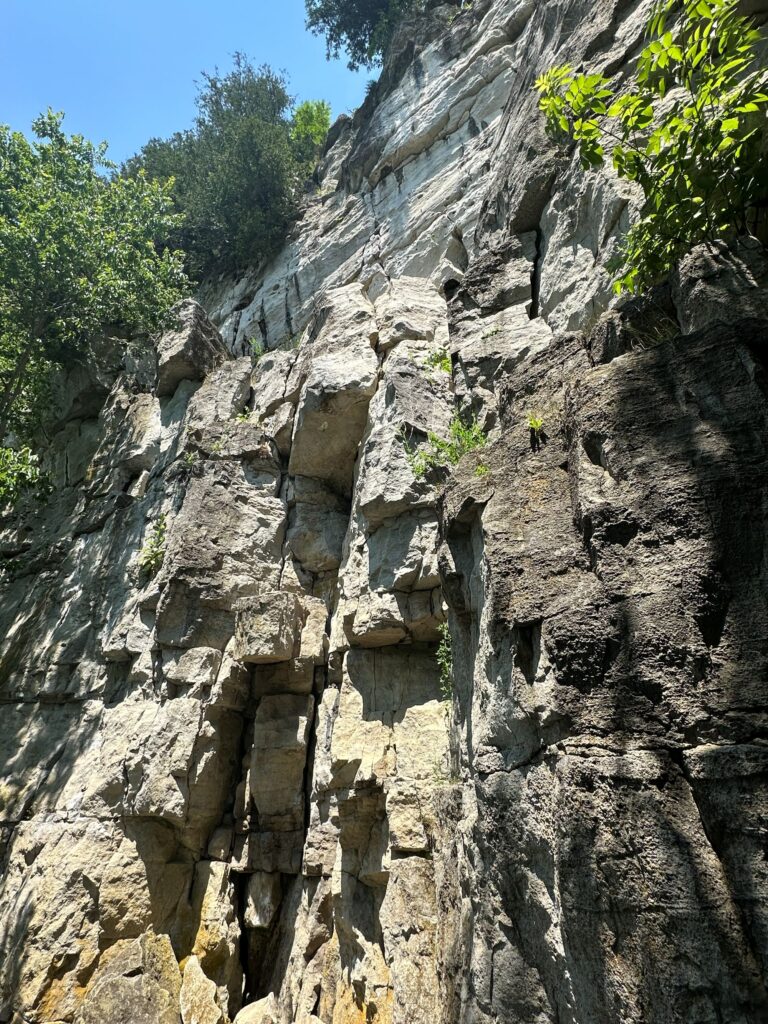 岩場